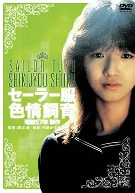 午夜电影《第七夜放映员》海报